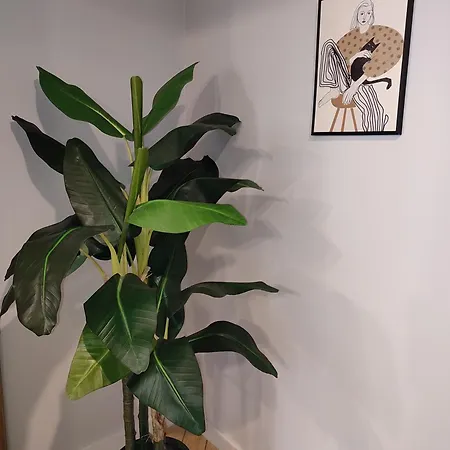 Apartament Jeziorna Διαμέρισμα Ełk
